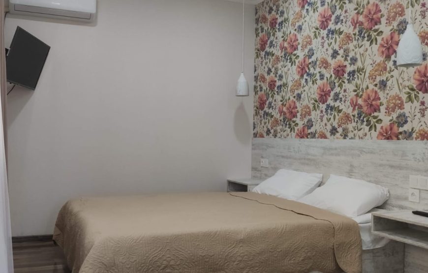 BORJOMI _ Akaki’s Guesthouse