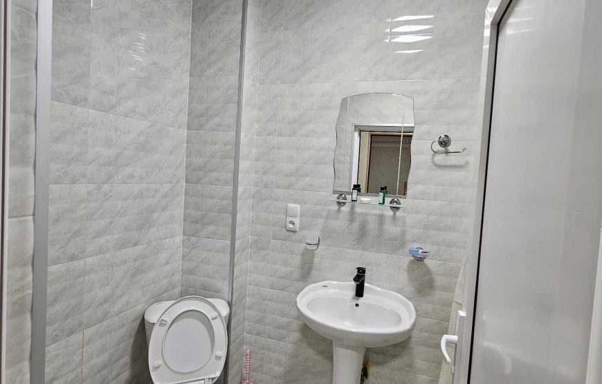 Apartment Shanidze 4