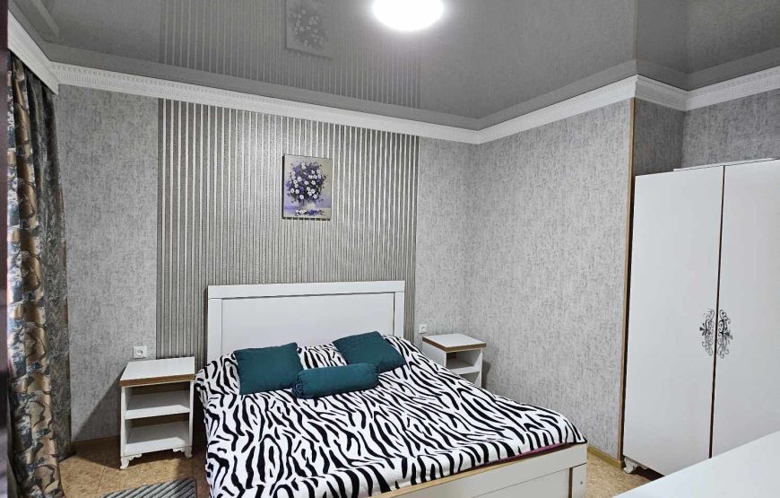 Apartment Shanidze 4