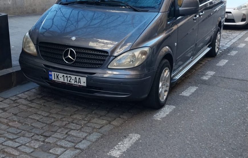 2010 Mercedes Benz vito / SHOTA