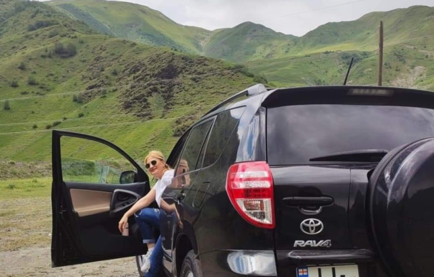 2012 Toyota RAV4 / LIKA