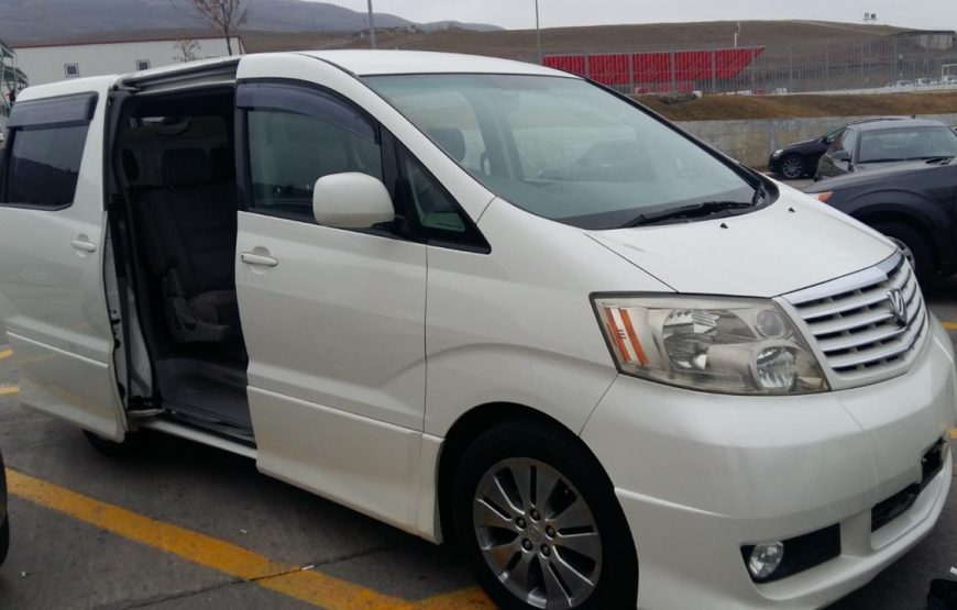 2005 Toyota alphard / BONDO