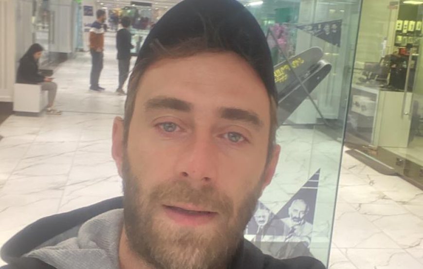 2005 Toyota alphard / BONDO