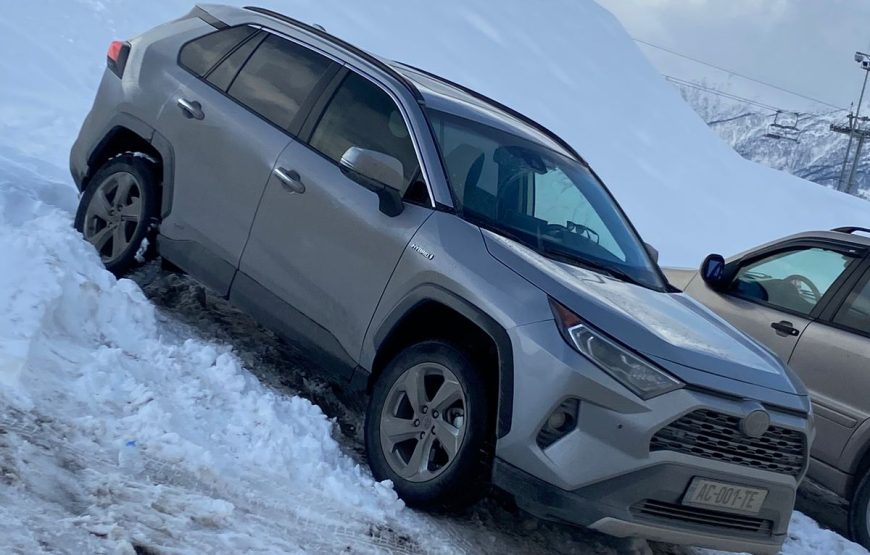 2020 Toyota RAV4 / ZAZA