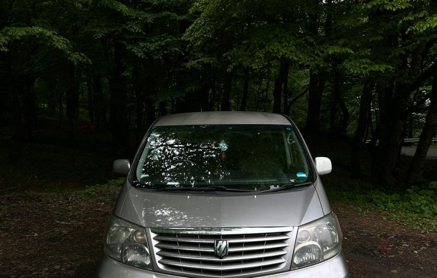 2003 Toyota Alphard   / GIORGI