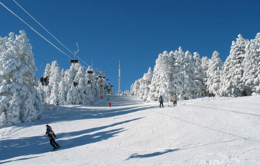 Borjomi – Bakuriani – Winter Ski Season Tour /  Боржоми – Бакуриани – Зимний горнолыжный сезон