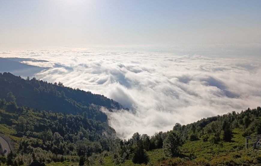 From Batumi – Gomismta /  Из Батуми – Гомисмта